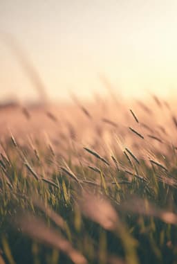 self compassion category image